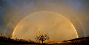 Tree double rainbow